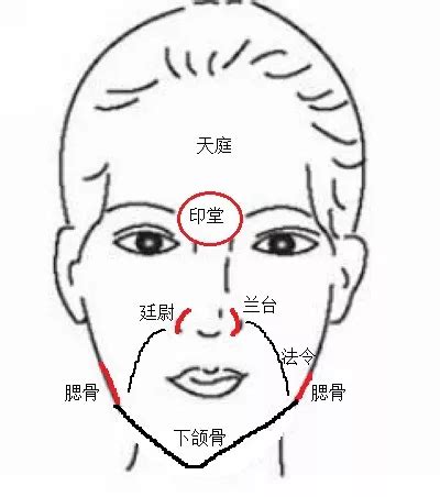 枕骨面相|《相学精义》刘恒注解，枕骨面相篇